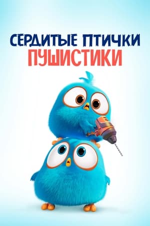 Сердитые птички. Пушистики