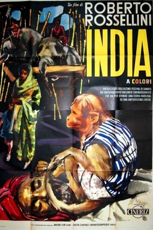 India: Matri Bhumi